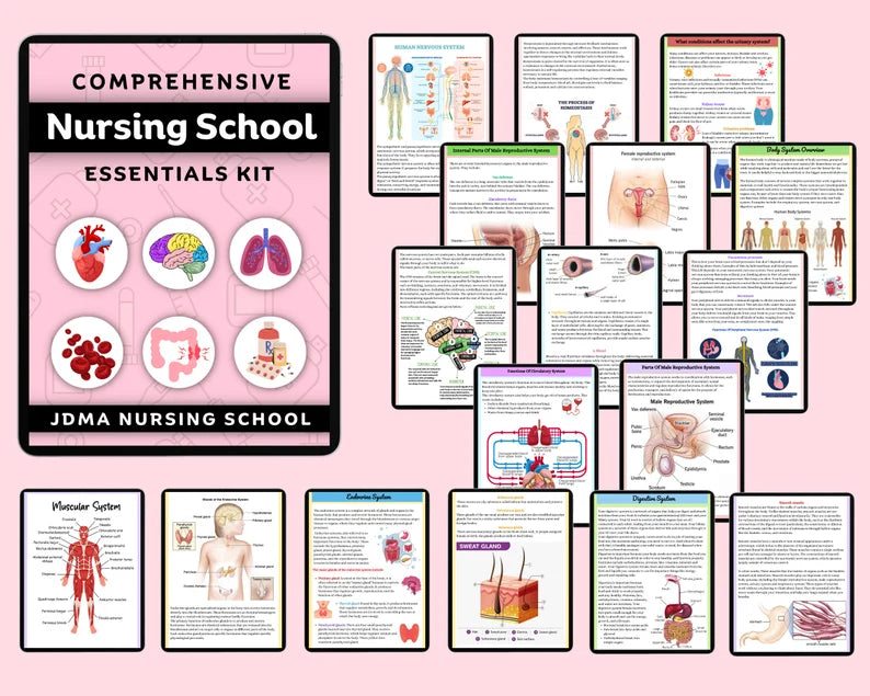 Comprehensive Nursing School Bundle with Hyperlinked | Study Guide Bundle | Nursing School Note | Digital Download | 850+Pages of Study note