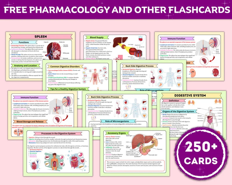 Comprehensive Nursing School Bundle with Hyperlinked | Study Guide Bundle | Nursing School Note | Digital Download | 850+Pages of Study note